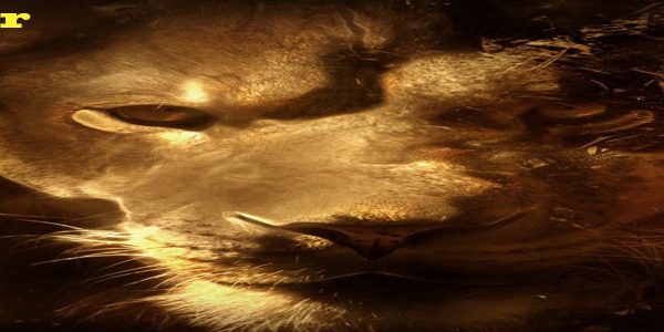 محسن یزدانی قهرمان ایران و جهان