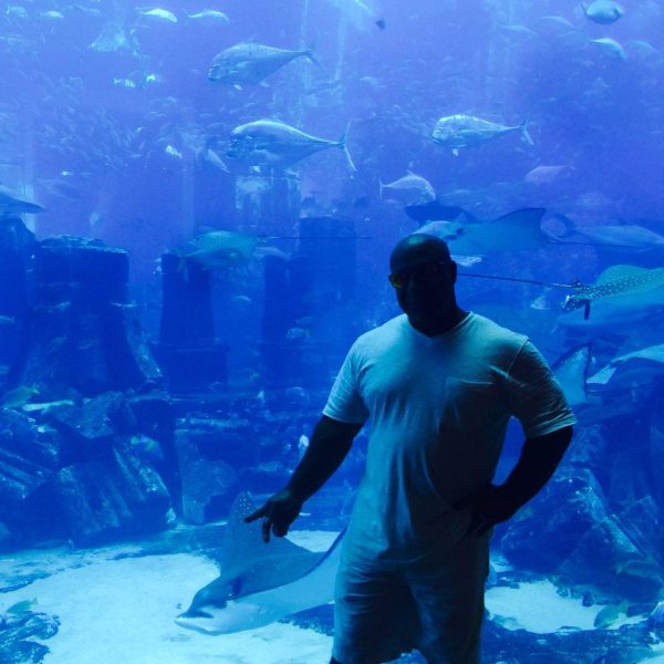 محسن یزدانی قهرمان ایران و جهان