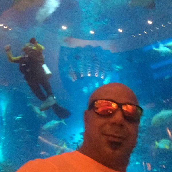 محسن یزدانی قهرمان ایران و جهان