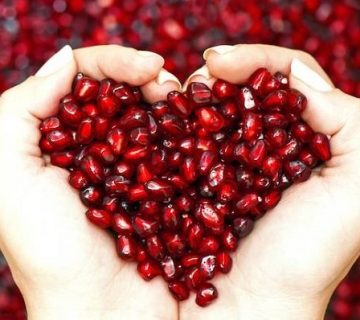 محسن یزدانی قهرمان ایران و جهان